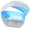 Indoor Bug Blue Trap Sconce