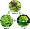 Protective cover against pests green vegetables Small snail plant cover Green plant pot holder bottom